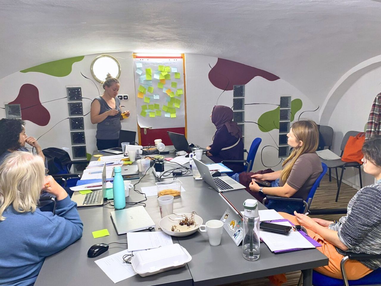 1st TM Meeting in Budapest-Working-2